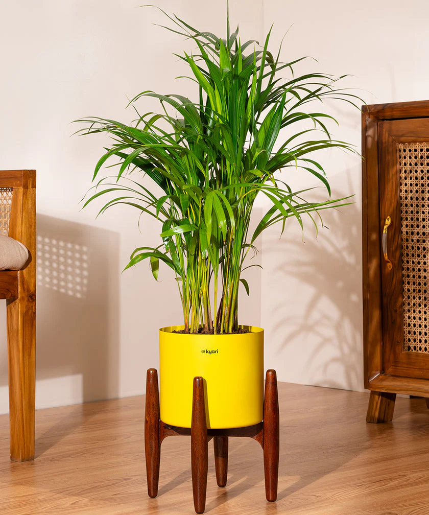 Product image 110