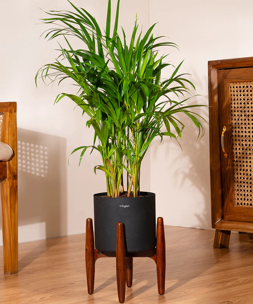 Product image 116
