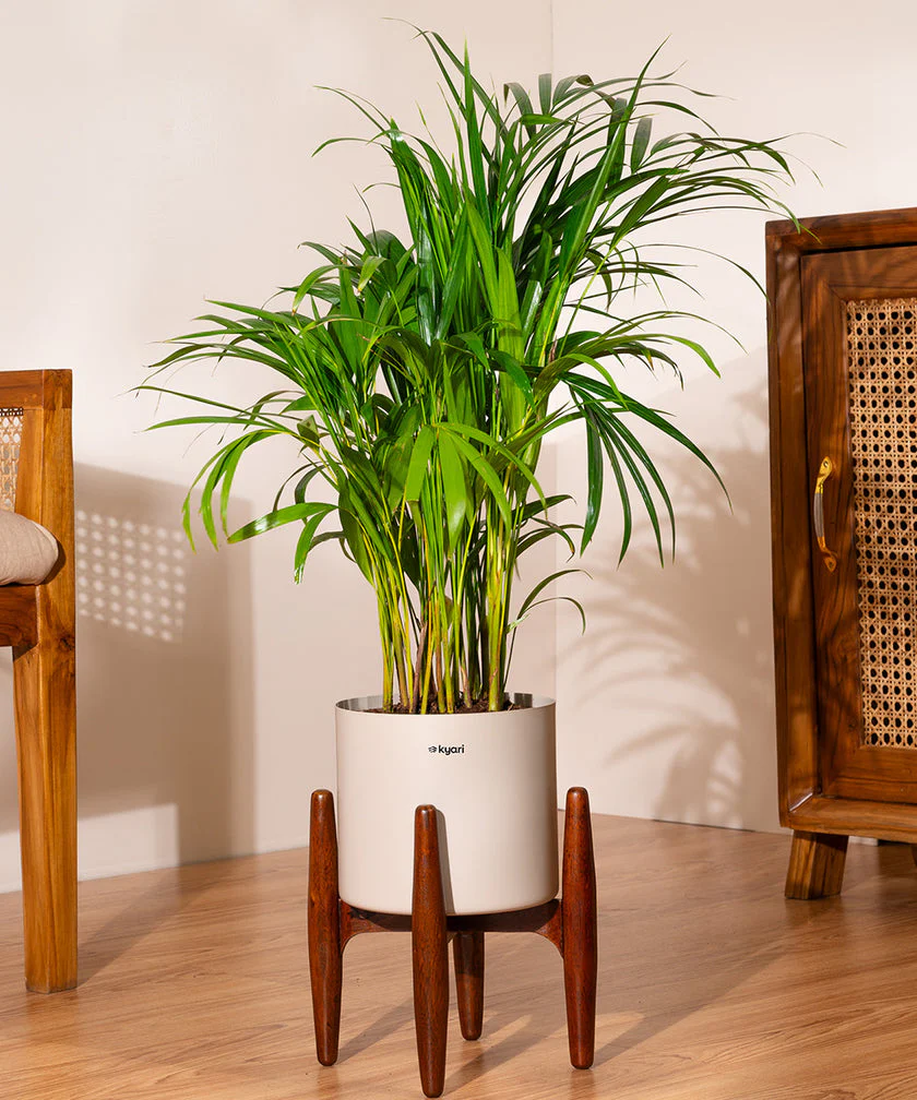 Product image 117