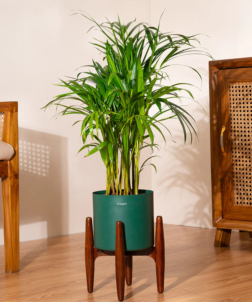 Product image 135