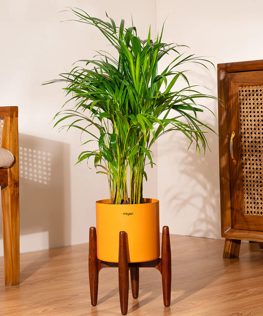 Product image 148