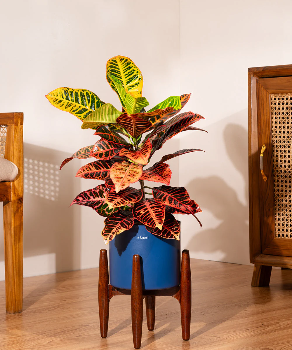 Product image 125