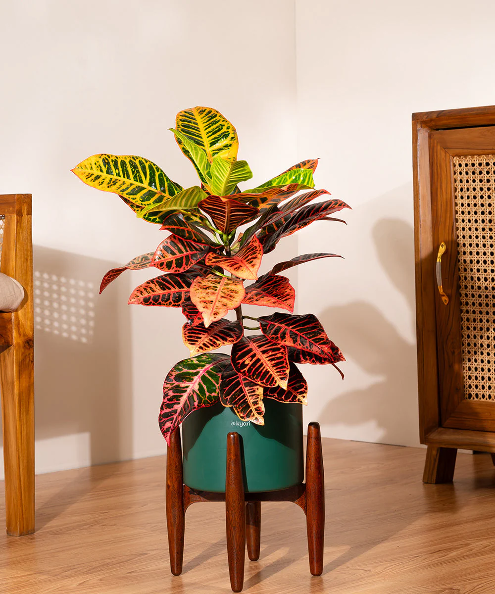 Product image 128