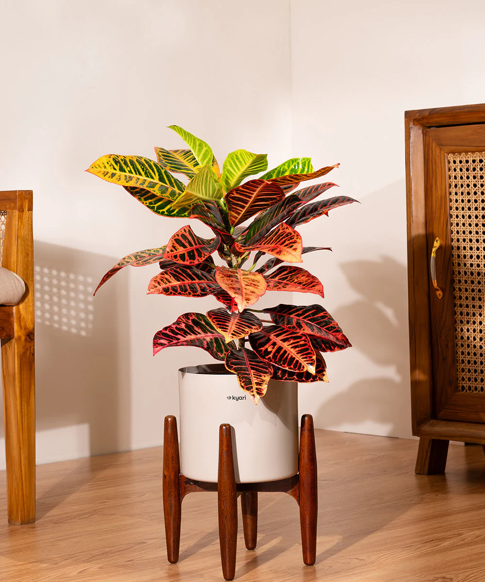 Product image 234