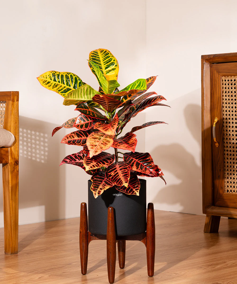 Product image 240