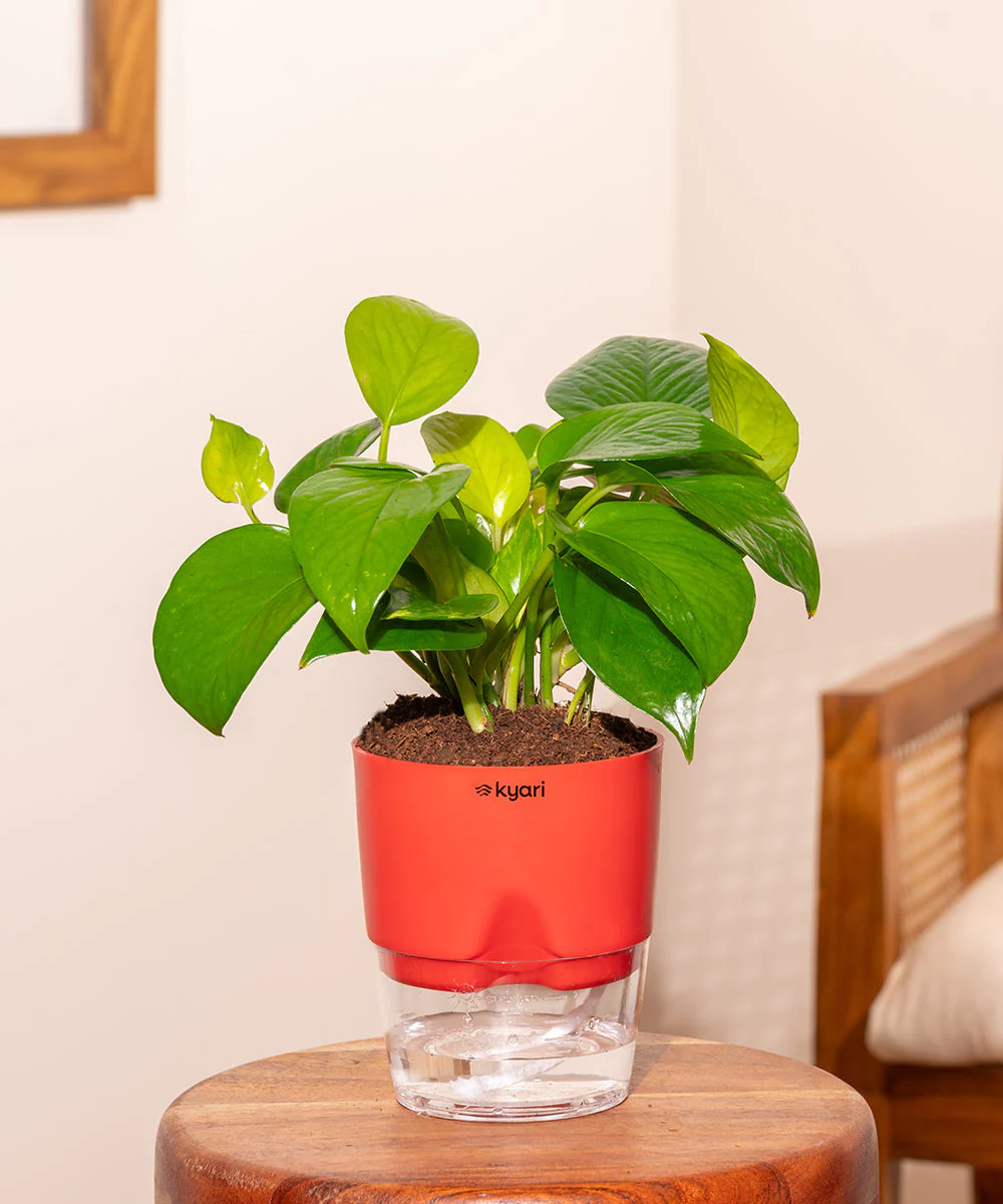 Product image 89