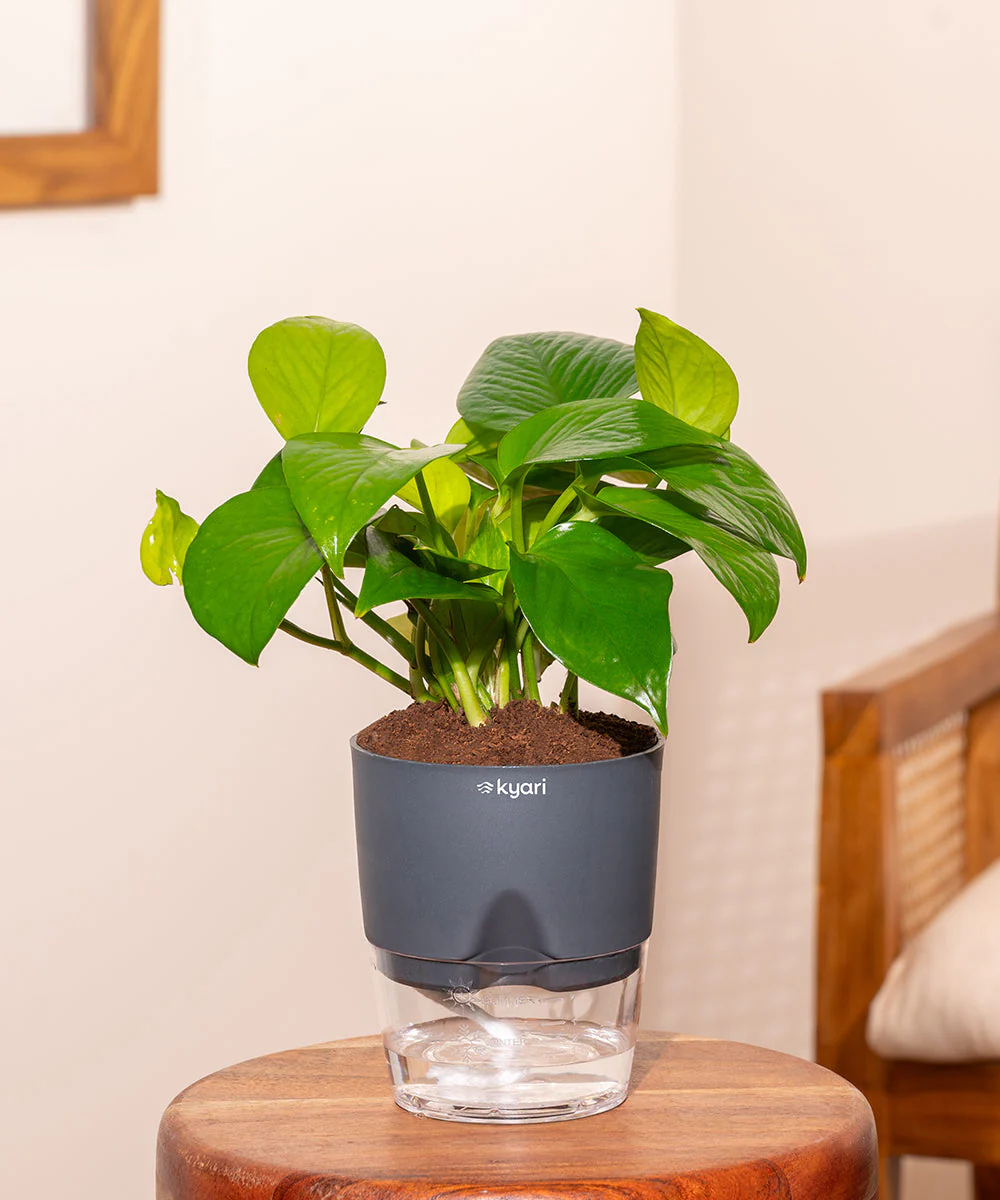 Product image 91