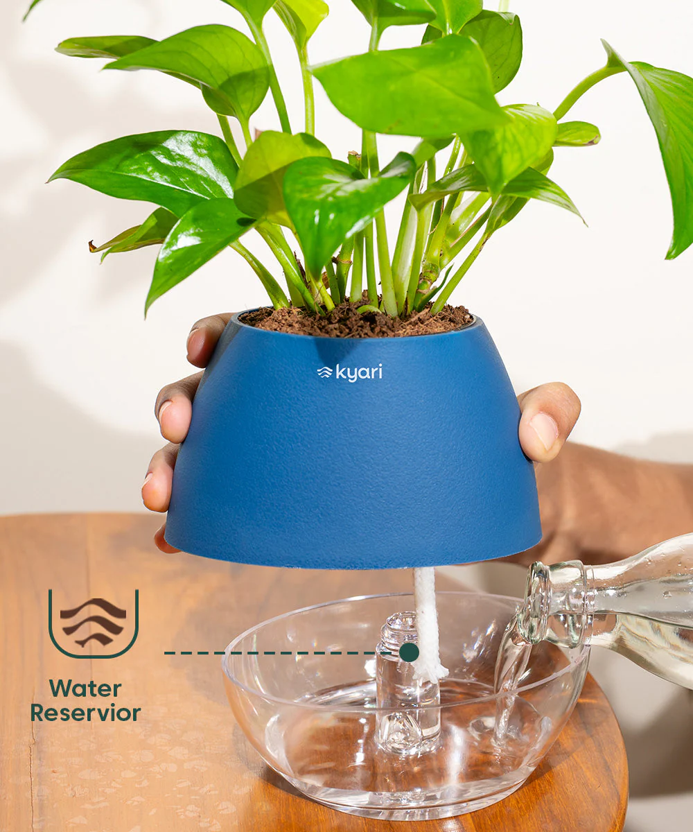Product image 99
