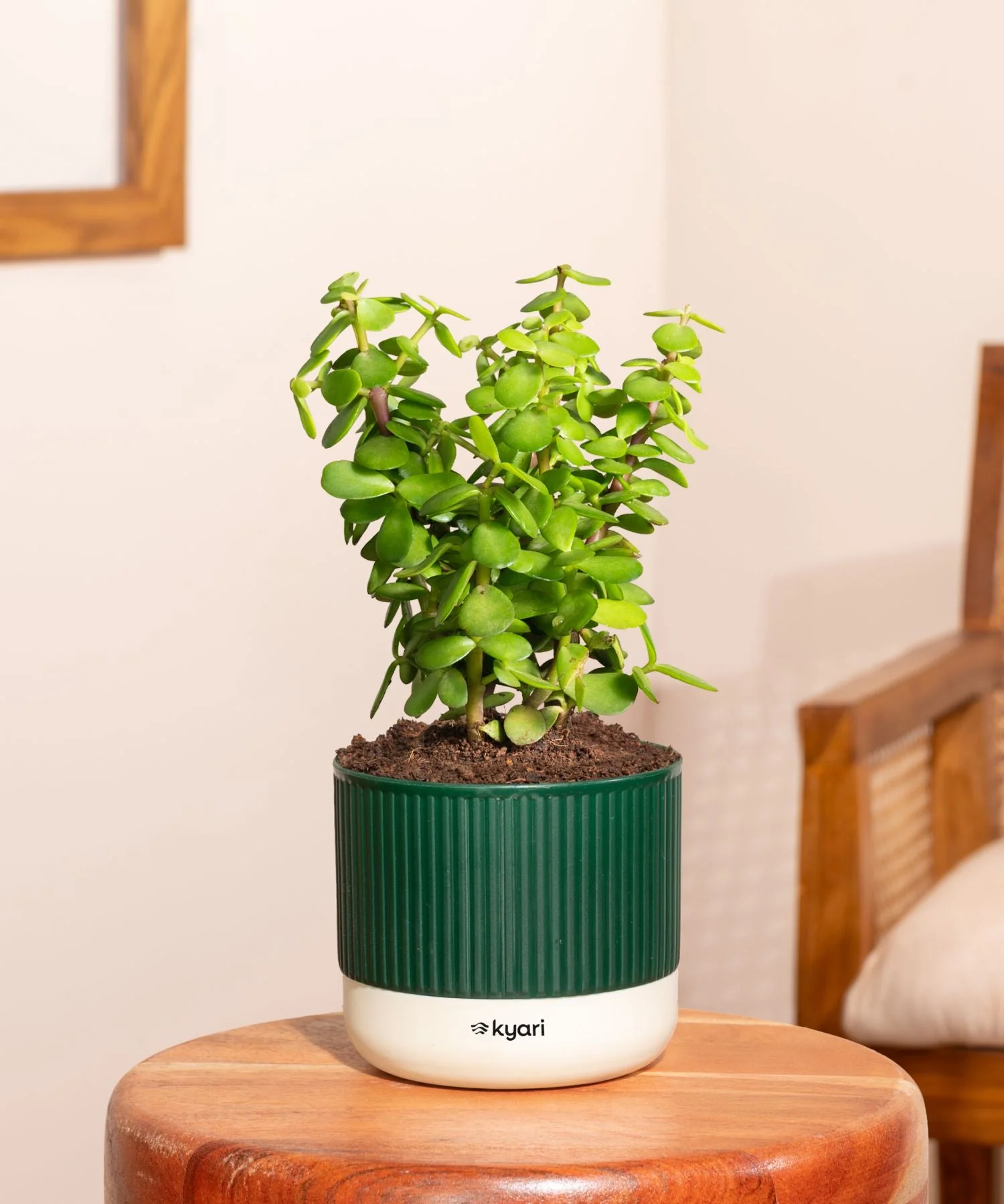 Product image 172