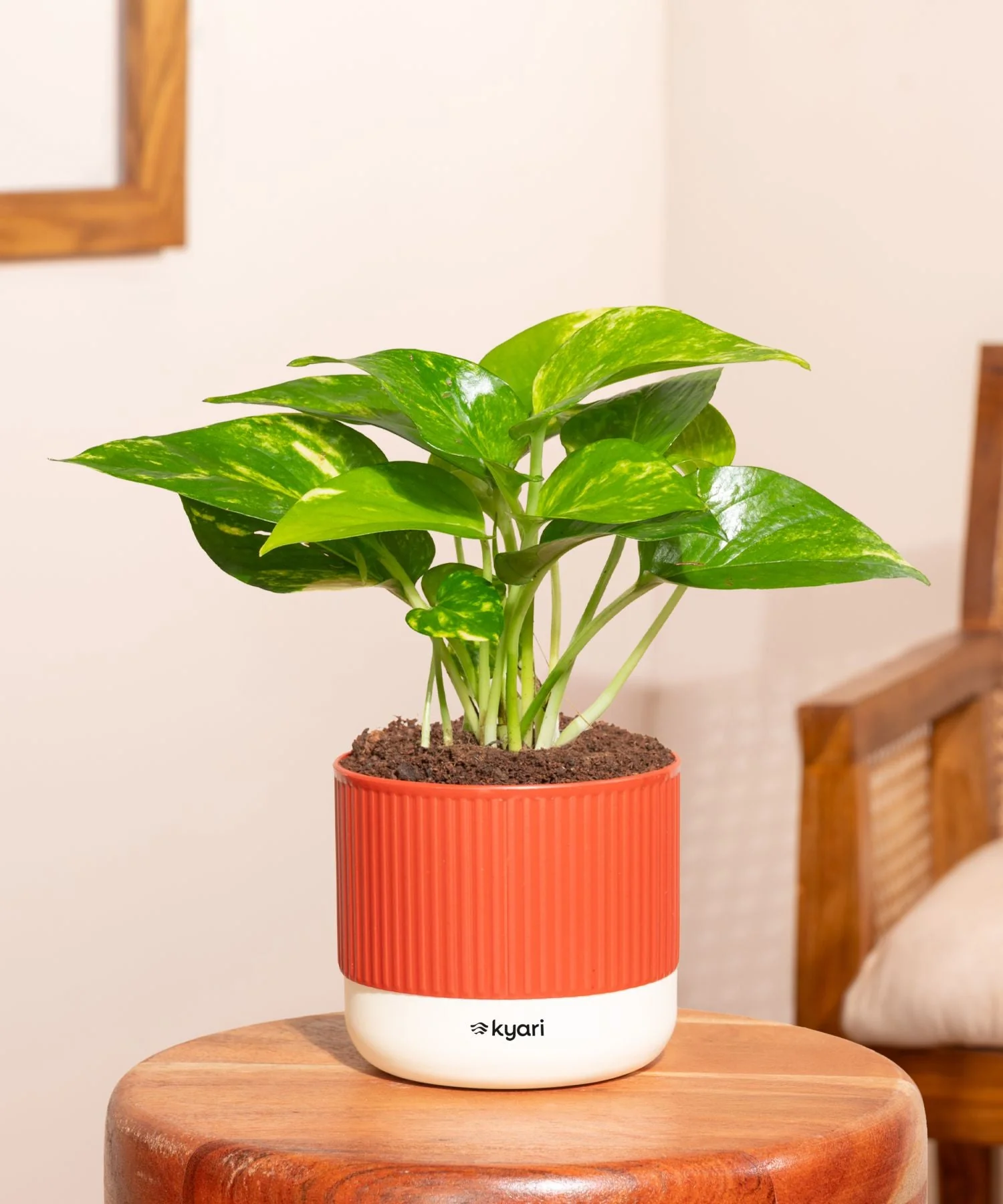 Product image 41